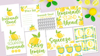 12-Page Lemonade Stand Planner for Kids!