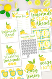 12-Page Lemonade Stand Planner for Kids!
